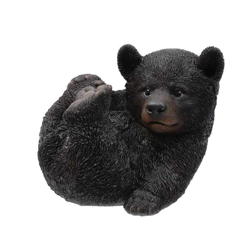 Baby Black Bear Lying