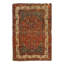Mehroo Oriental Area Rug in Rust