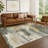 Machine Washable Indoor/Outdoor Kesler ACN2372 Abstract Rug-797839675