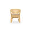 Aniken Upholstered Armchair