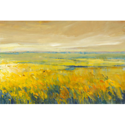 Hot Summer Day I by Tim OToole - Wrapped Canvas Print