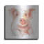 «Farm Friends III» par Lisa Audit-1569719052