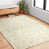 Beige/Gray/Ivory/White selected