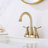 Centerset 2-handle Bathroom Faucet with Drain Assembly-80014458
