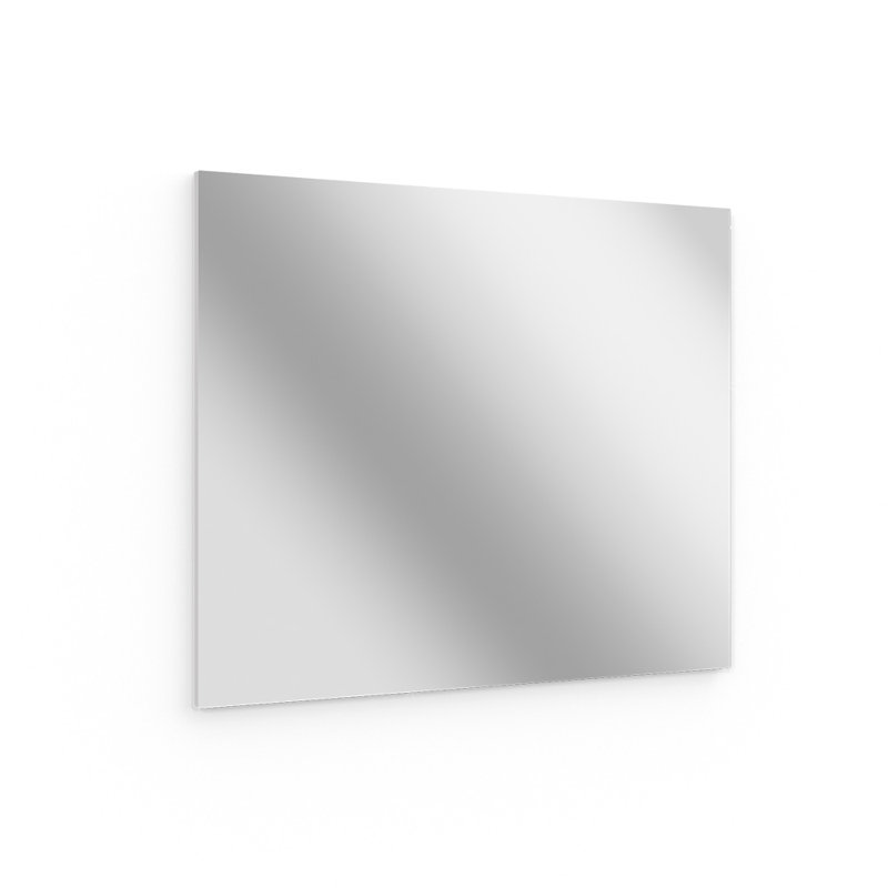 Neponset Glass Flat Wall Mirror