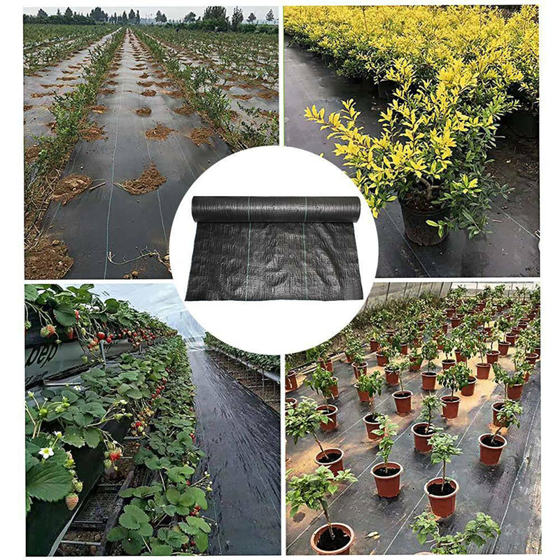 Tapis de sol Weed Barrier Landscape, L 3000 po x P 36 po