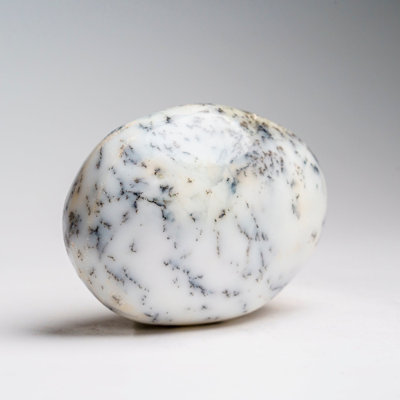 Genuine Polished Dendritic Agate Palm Crystal