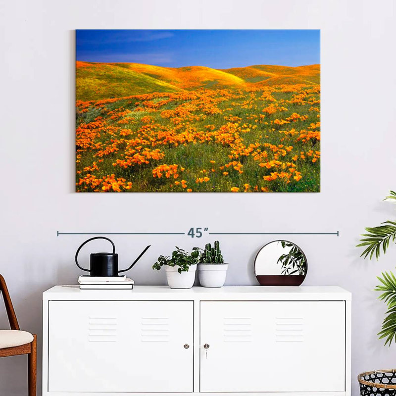 California Golden Poppies, H 26 po x l 39 po