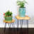 Doak Solid Wood End Table