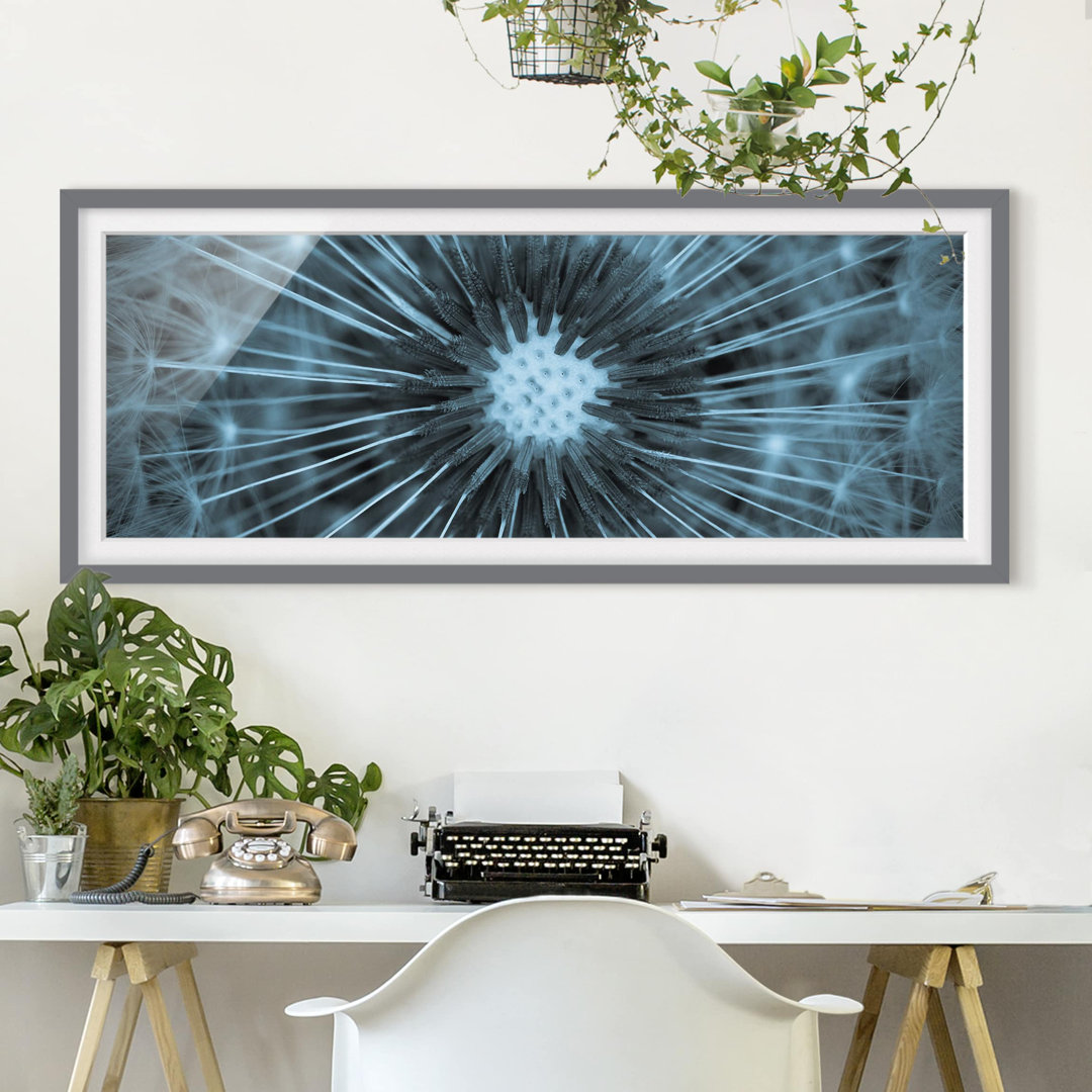 Gerahmtes Poster Blue Tinted Dandelion