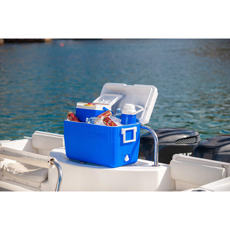 Dakota Fields Picnic Cooler in Blue