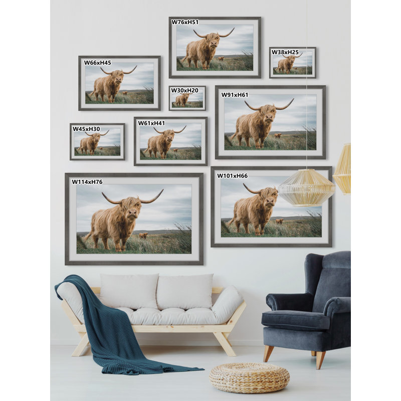 Grazing Cattles - Print, 41cm H x 41cm W x 3.81cm D, Grey Framed Paper