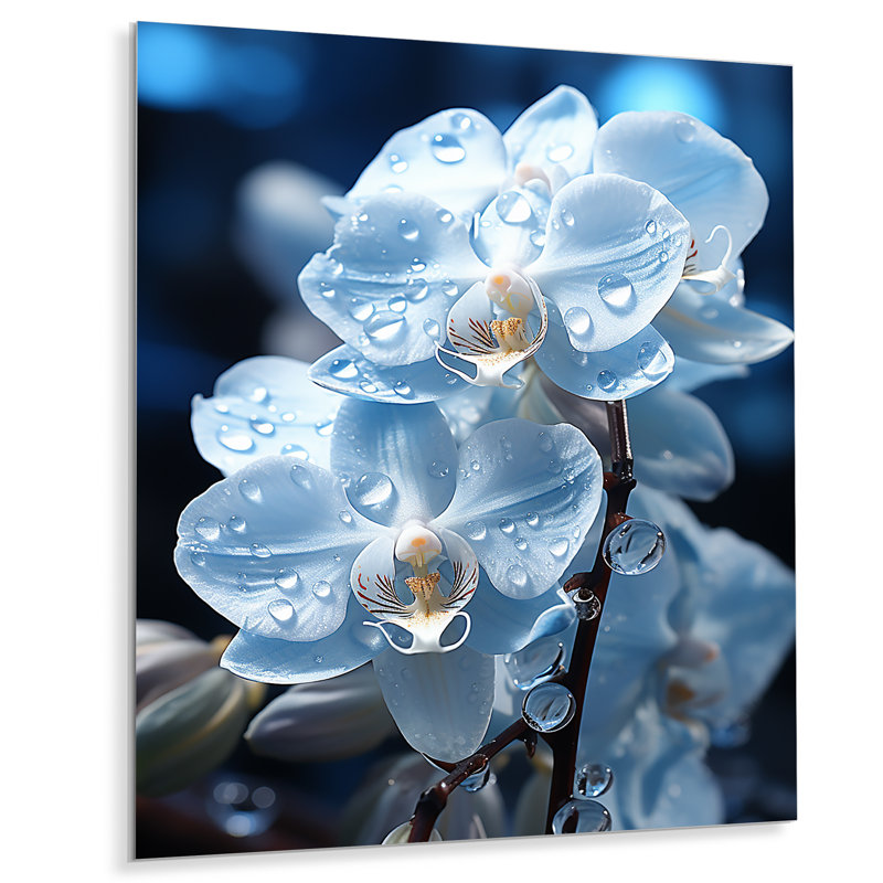 Bleu blanc champ de fleurs d'orchidées nacrées - impression d'art floral en métal, H 20 po x l 12 po