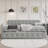 Friedlenchen Upholstered Linen Daybed with Trundle Bed-1660203048