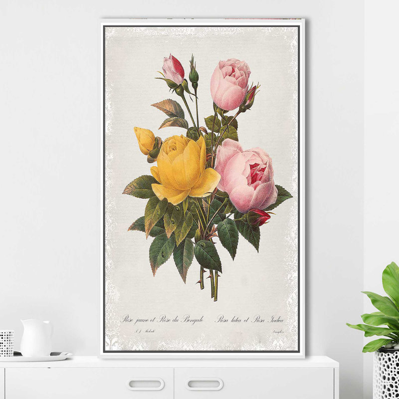 «Botanical Bouquet Roses» par Carol Robinson - Peinture, Cadre flottant blanc, H 51,5 po x l 31,5 po x P 2 po