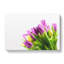 Yellow & Purple Tulips - Wrapped Canvas-56641861