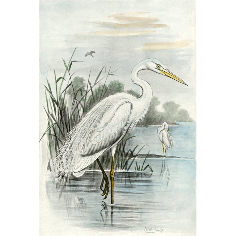 Oversize White Heron (ABW) by F.W. Frohawk - Wrapped Canvas Rectangle Painting, 46cm H x 30cm W x 3.8cm D