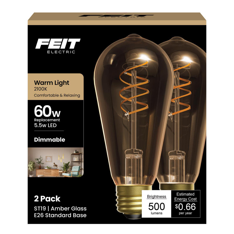 Ampoule DEL Feit ST19 E26 (moyenne) ambre de 60 watts, équivalente à 60 watts, paquet de 2, 2100 Kelvins