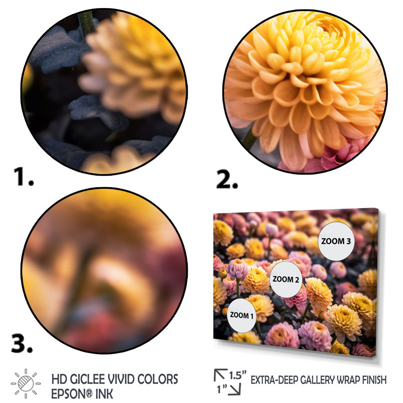 «Yellow Yellow Pink Chrysanthemums Field» sur impression sur toile, Toile tendue, H 30 po x l 40 po x P 1,5 po