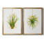 «Hanging Airplant II», ensemble de 2 reproductions d'art-105408468-105408469-105408470