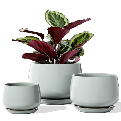 Ceramic Plant Pots 4.1+5.1+6.5 inch