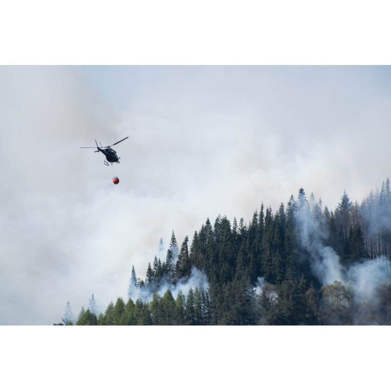 Capac Firefighters Extinguish Forest Fire - Wrapped Canvas Print, 30cm H x 46cm W x 3.8cm D
