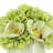 Arrangement in Vase