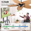 Ventilateur de plafond Tropical