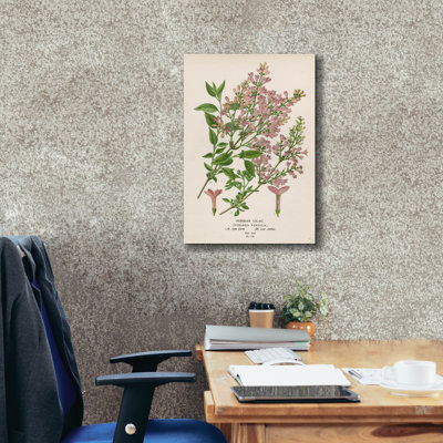 Epic Graffiti 'Persian Lilac' by Art Licensing Studio Canvas Wall Art