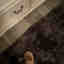 Customer photo 4 of 4