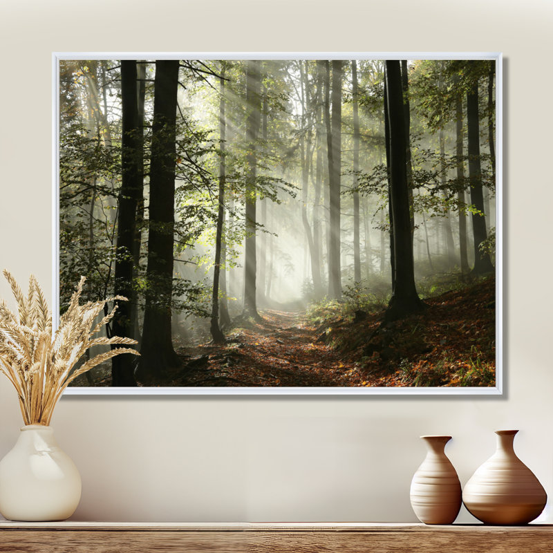 Lumière dans une forêt d'automne dense avec brouillard, œuvre d'art, H 30 po x l 40 po, Reproduction avec cadre flottant