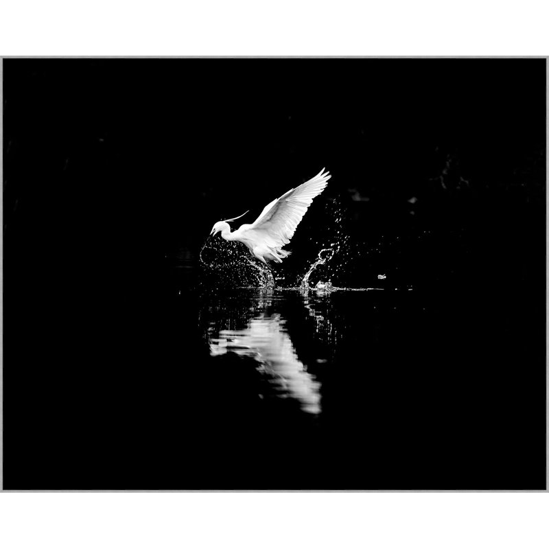 Elegant Departure 1 Print by Thom Filicia