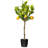 Artificial Potted Lemon Tree-834844414
