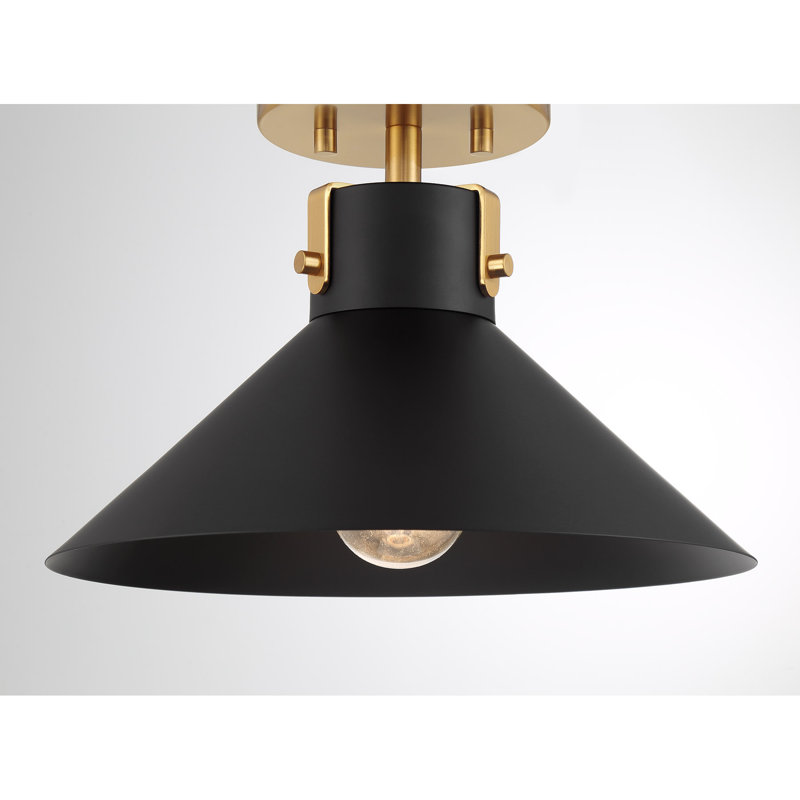 Ohemaa 1-Light Ceiling Light in Matte Black and Natural Brass, Black