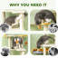Arbre à chat 63 pouces en forme de lune et d'étoiles, lit, planche à gratter, confort, base solide, conception à embouts, pour 1 2 chats de moins de 11 lb avec thème, poteaux multiples, fabrication, convenable