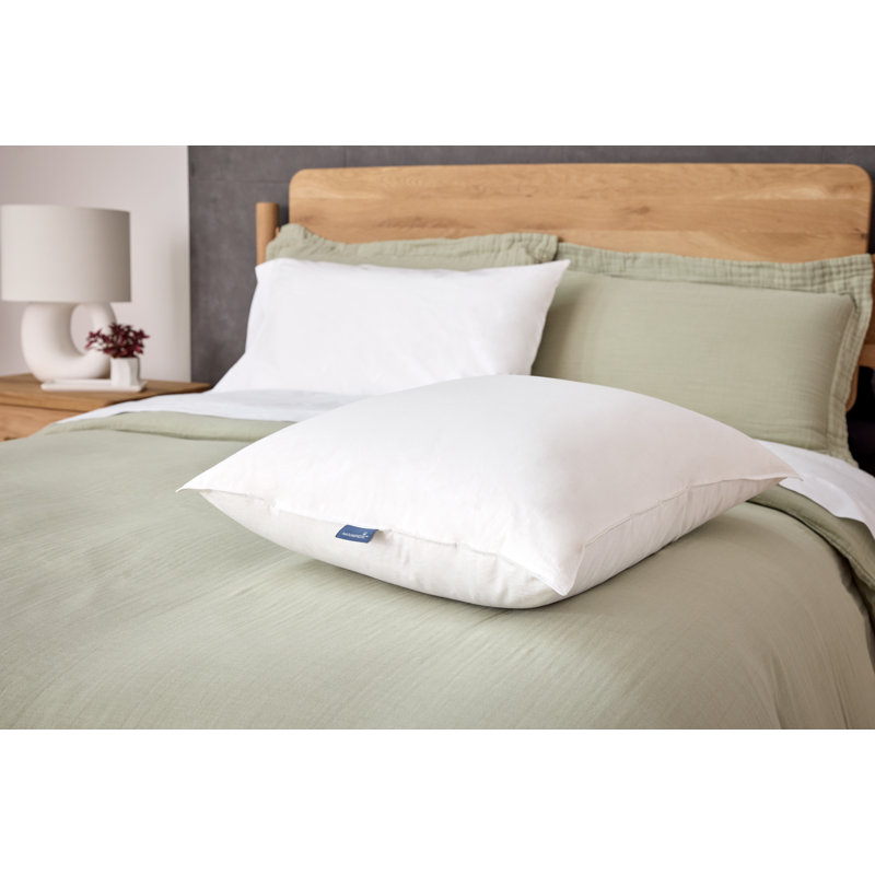 Oreiller en duvet de coton biologique, Grand lit