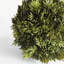 CYPRESS ORB 6.5"-575062520
