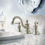 Waterhill Widespread Bathroom Faucet with Drain Assembly-11920794