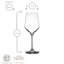 Forcier 365ml White Wine Glass-1622791349