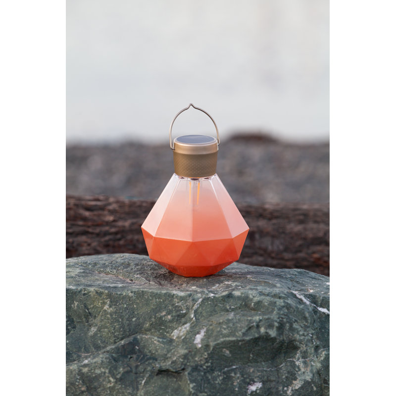 Bahama Coral Solar Powered Outdoor Hanging Light with Edison Bulb