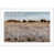 Motif argent