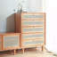 Armoire d'appoint Modern Burlywood