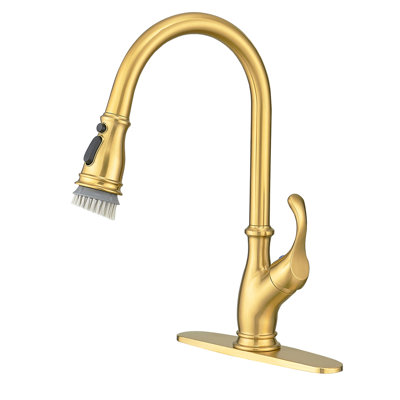 GAWEZA Pull Down Kitchen Faucet