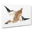 Flying Duck by Johan Teyler - Wrapped Canvas-55314785
