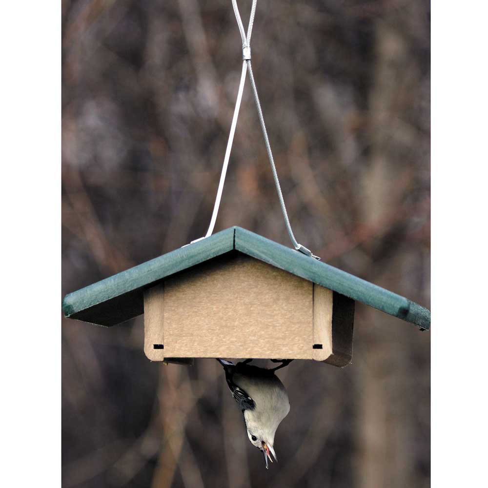 Birds Choice Hanging Suet Bird Feeder & Reviews Wayfair
