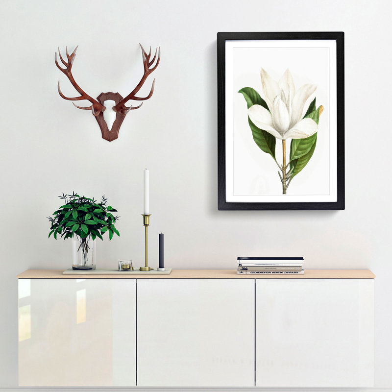White Southern Magnolia Flower by Pierre-Joseph Redoute - Picture Frame Art Prints, Black Framed, 36cm H x 27cm W x 2cm D