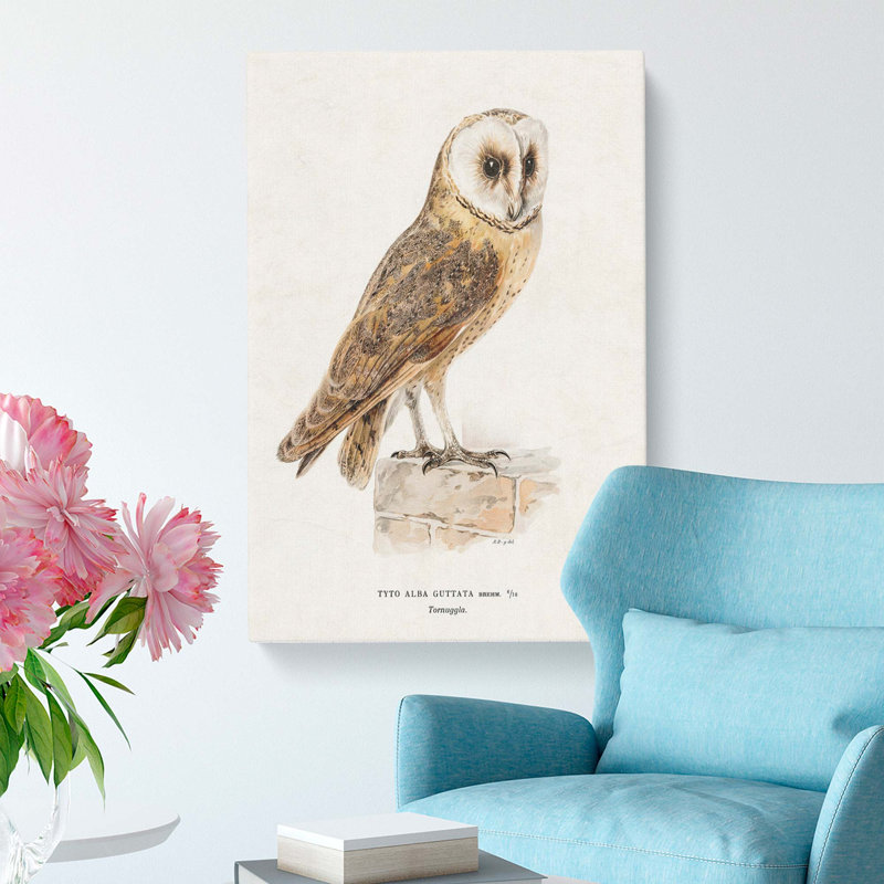 Perched Owl by Von Wright - Wrapped Canvas Print, 91cm H x 60cm W x 3cm D