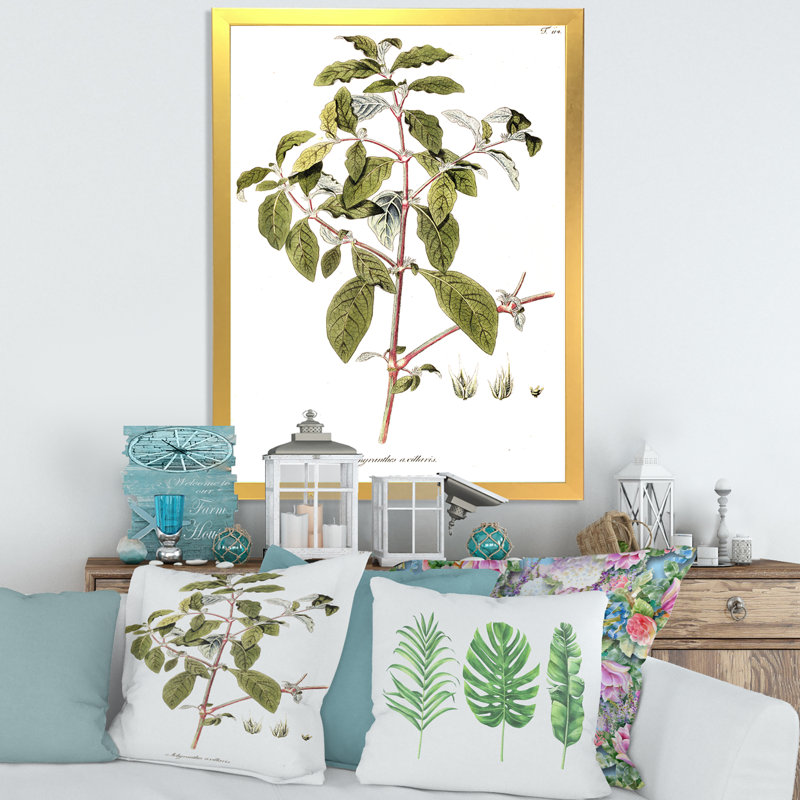 Vintage American Flora IV - peinture sur toile, H 32 po x l 24 po x P 1 po, Cadre doré