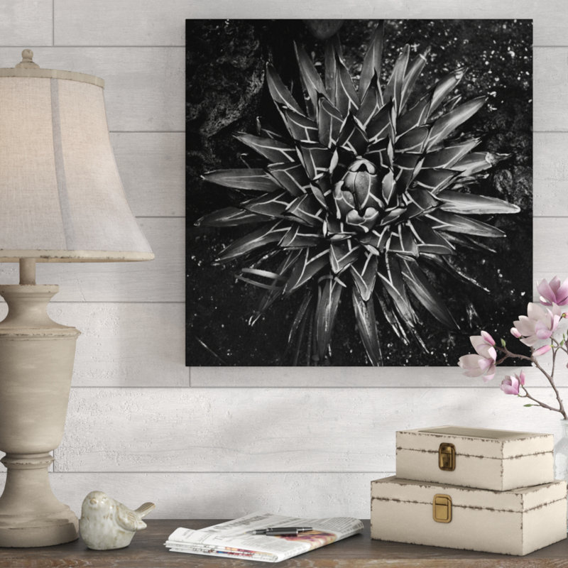 Barclay Butera " Vintage Succulent I " by Barclay Butera, 24" H x 24" W x 1.5" D, Plexi