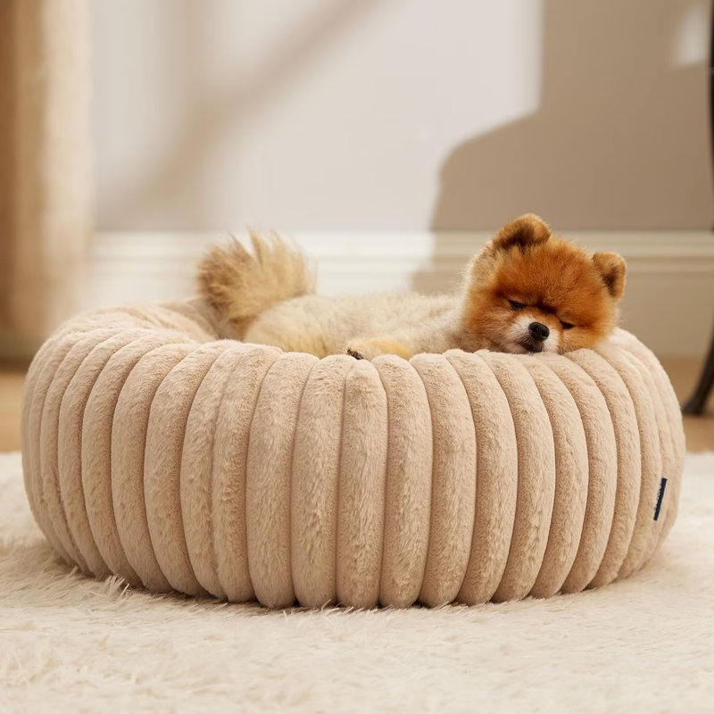 Lit pour chien Bedsut Donut, S (H 7 po x l 23 po x P 23 po), Sable